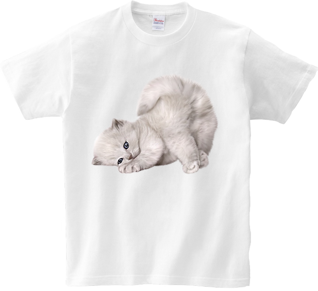 Koszulka T-shirt Kot zdjęcie 1