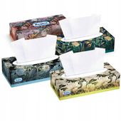 CHUSTECZKI BOX REGINA