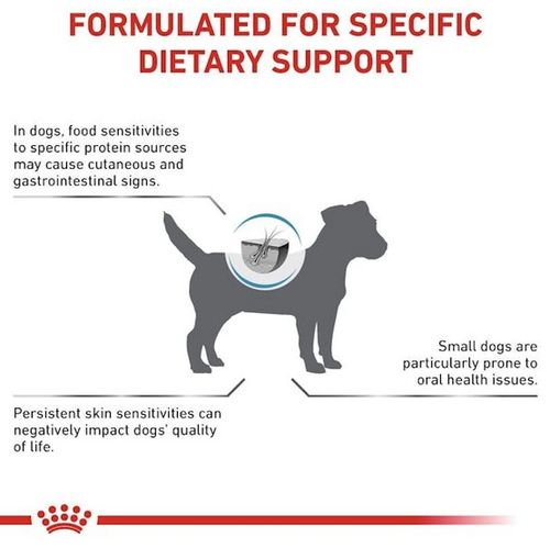 Royal Canin Veterinary Diet Canine Anallergenic Small 1,5Kg na Arena.pl