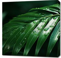 product-compare-59468069