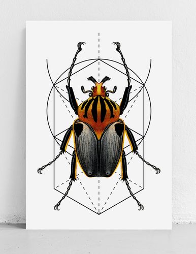 Plakat robak owad geometria 29,7x42 cm A3 na Arena.pl