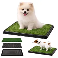 Kuweta do nauki sikania czystości dla szczęniąt psa trawa 3 warstwy 50x40cm