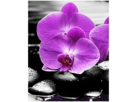 40X50CM OSTOJA PIĘKNA OBRAZ