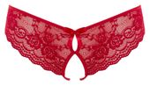 lace briefs crotchless l