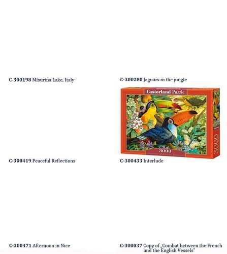 Castorland Puzzle 3000 elem. obraz 92x68cm CA0020 na Arena.pl