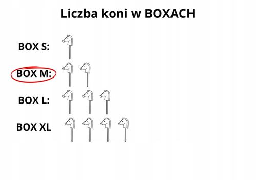 Hobby Horse BOX M - zrób to sam na Arena.pl