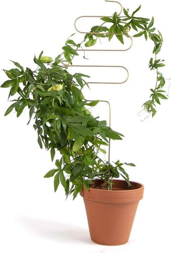 Podpórka Krata dla roślin pnących 4szt różne wzory na Arena.pl