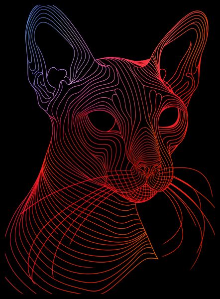 Plakat 40x55cm Cyfrowa Kocica zdjęcie 2