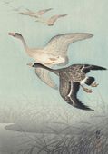 Plakat 70x100cm Great Geese in Flight, Koson Japoński Vintage do Salonu