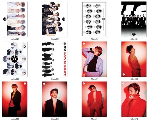 Plakat A3 EXO DO WYBORU na Arena.pl