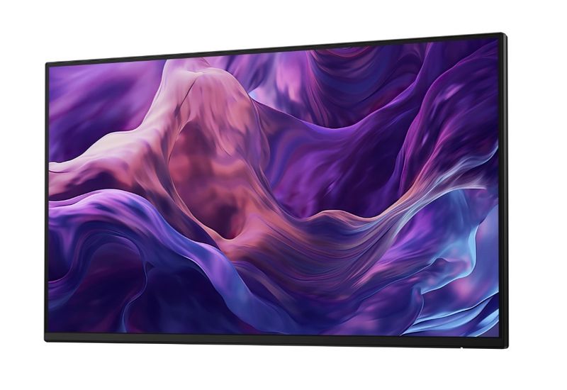 Monitor LED 24" Dell P2425H-WOS zdjęcie 7