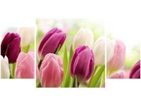 80X40CM SOCZYSTE TULIPANY TRÓJ OBRAZ