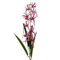 product-compare-61191198