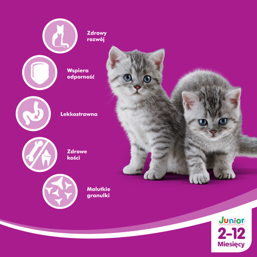 Whiskas Junior Kurczak 14kg na Arena.pl