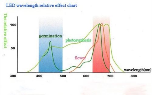Halogen GROW 50 W led do uprawy roślin na Arena.pl