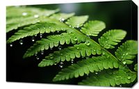 Obraz 60x40cm Szepty Natury