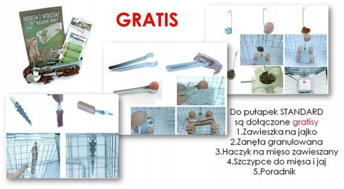 żywołapka pułapka na lisa kune kota 150 cm duża na Arena.pl