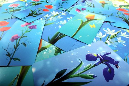 Rebel Gra Kwiatki na Arena.pl