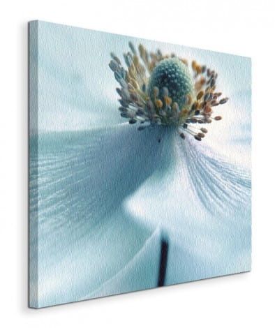 Japanese Anemone - Obraz na płótnie 60x60 cm na Arena.pl