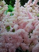 product-compare-55331319