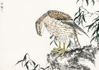 Plakat 29,7x21cm Osprey, Kashu Japoński Vintage do Salonu