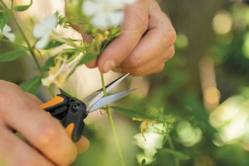 FISKARS NOŻYCZKI SP13 SOLID FS1051600 zdjęcie 11