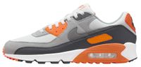 Buty męskie NIKE AIR MAX 90 (DM0029 108) 41