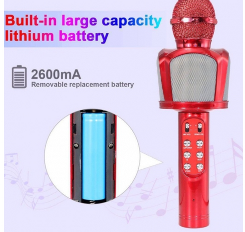 MIKROFON DO KARAOKE Z BLUETOOTH ZX-818 na Arena.pl