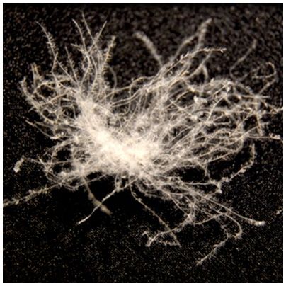 Poduszka puchowa 70x80 2 kg na Arena.pl