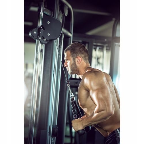 SZNUR LINA UCHWYT DO WYCIĄGU ATLASU GÓRNEGO DOLNEGO NA TRICEPS DO ĆWICZEŃ na Arena.pl