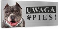 Tabliczka UWAGA ZŁY PIES - AMERICAN BULLY dibond
