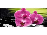 100X40CM STORCZYKI KAMIENIACH OBRAZ DREWNO