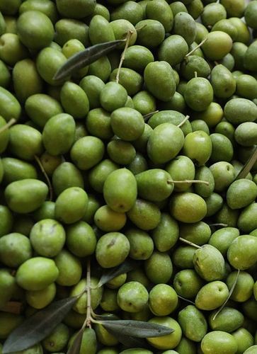 Oliwa z oliwek Extra Virgin 1L NIEFILTROWANA Świeża - Rustico SAPIO na Arena.pl