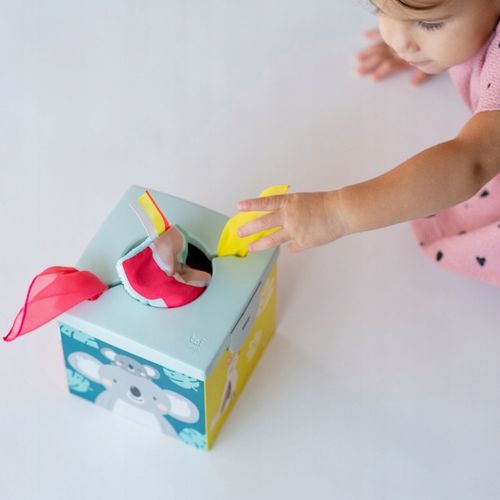 Taf Toys Pojemnik z chusteczkami Kimmy Koala Wonder 9m+ na Arena.pl