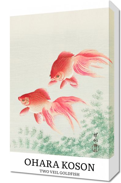 Obraz 30x50cm Two Veil Goldfish, Koson Vintage do Salonu zdjęcie 1