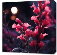 Obraz 60x60cm Wieczorny Blask