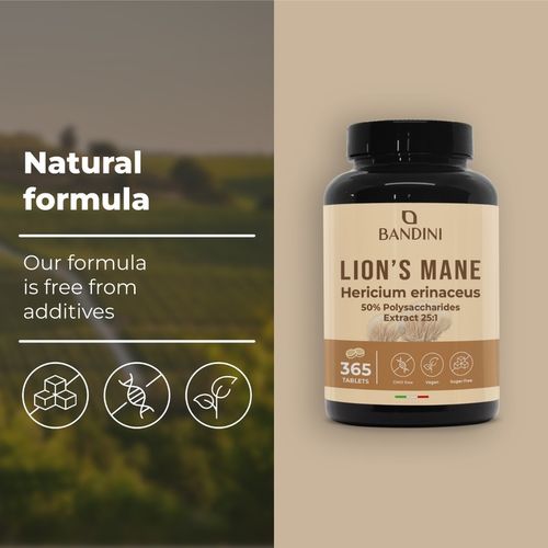 Bandini Lions Mane Mushroom 2000mg - 365 tabletek na Arena.pl