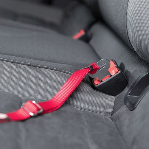 SZELKI SAMOCHODOWE DLA KOTA REGULOWANE Z PASEM SMYCZĄ DO SAMOCHODU TRIXIE na Arena.pl