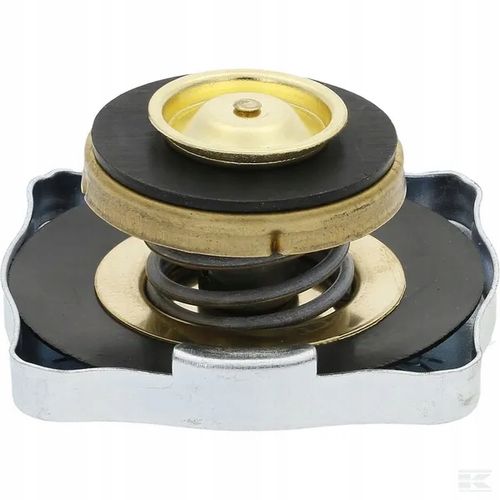 Korek Chłodnicy 10 psi 4999682N na Arena.pl