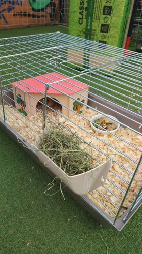 Bezpyłowe trociny ściółka ProBioBED Classic dla gryzoni, koni ODPYLONE 250l na Arena.pl