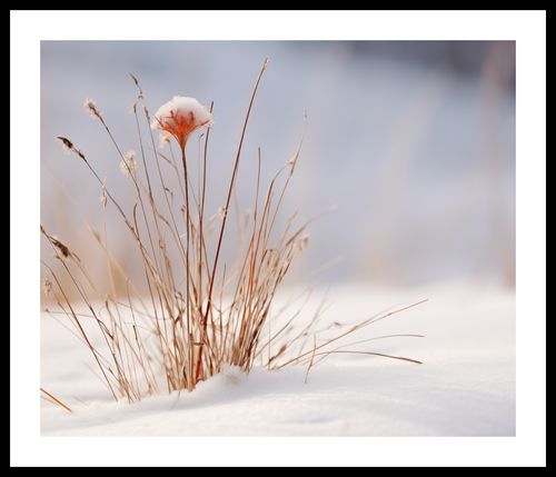 Plakat 60x50cm Zima w Detalach na Arena.pl