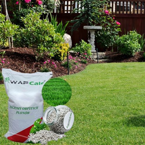 Wapno Granulowane do Trawnika Anty Mech 24,4 kg Nawóz Ogrodowe na Arena.pl