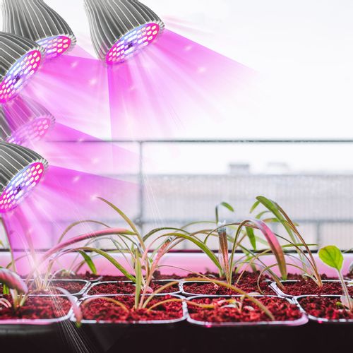 LAMPA LED DO WZROSTU UPRAWY ROŚLIN 150W 3000lm 5 GŁOWIC na Arena.pl