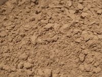 Ziemia okrzemkowa Diatomit 10 kg na ptaszyńca u kur dla drobiu