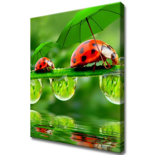 40X50 Obraz Na Prawdziwym Płótnie na Arena.pl