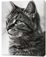 Obraz 70x90cm Kocie Wpatrzenie