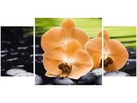 product-compare-58644224