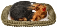 Perfect Petzzz Szczeniaczek York Oddychający Interaktywny Śpiący piesek