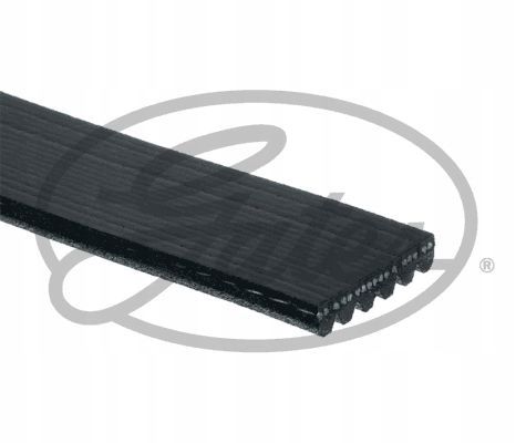 PASEK W/KLINOWY 6PK1020EST GATES na Arena.pl