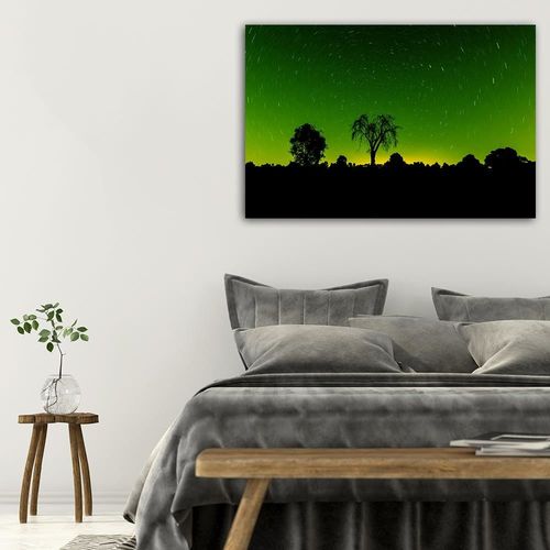 Deco Panel, Światła gwiazd 4 60x40 na Arena.pl